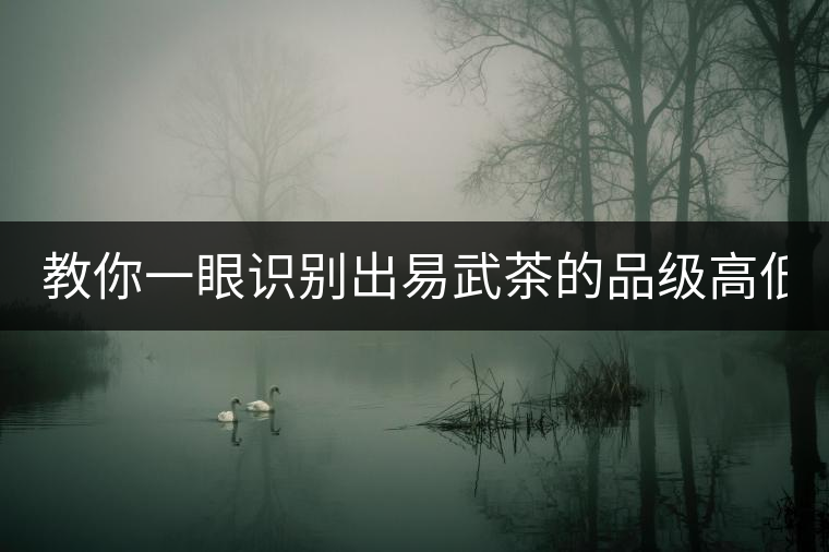 教你一眼識(shí)別出易武茶的品級(jí)高低！