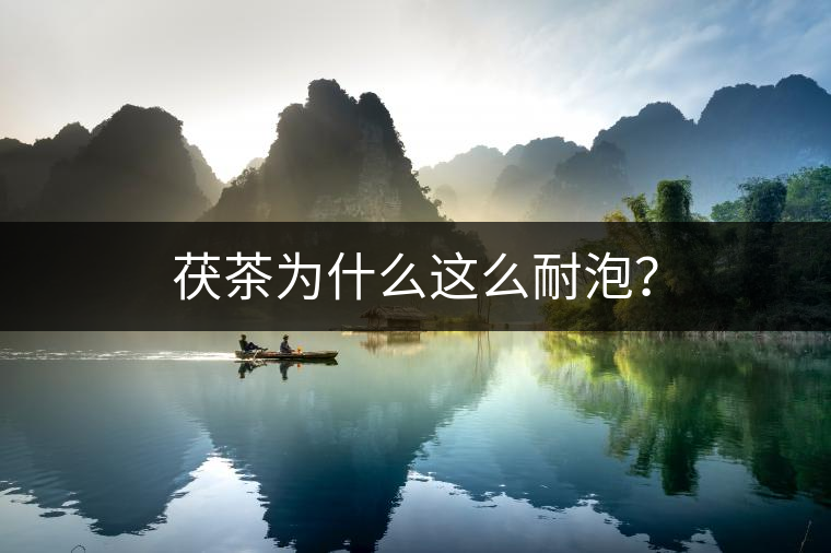 茯茶為什么這么耐泡？