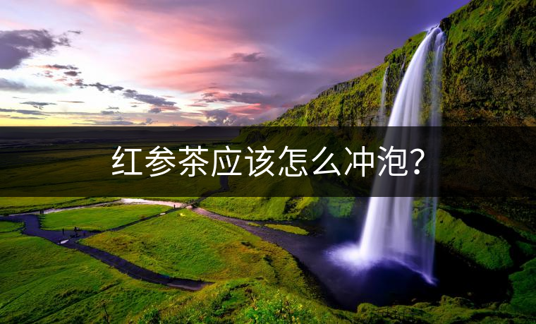 紅參茶應該怎么沖泡？