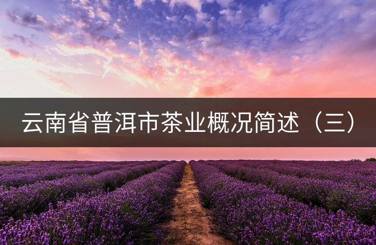 云南省普洱市茶業(yè)概況簡(jiǎn)述（三）