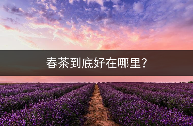 春茶到底好在哪里？
