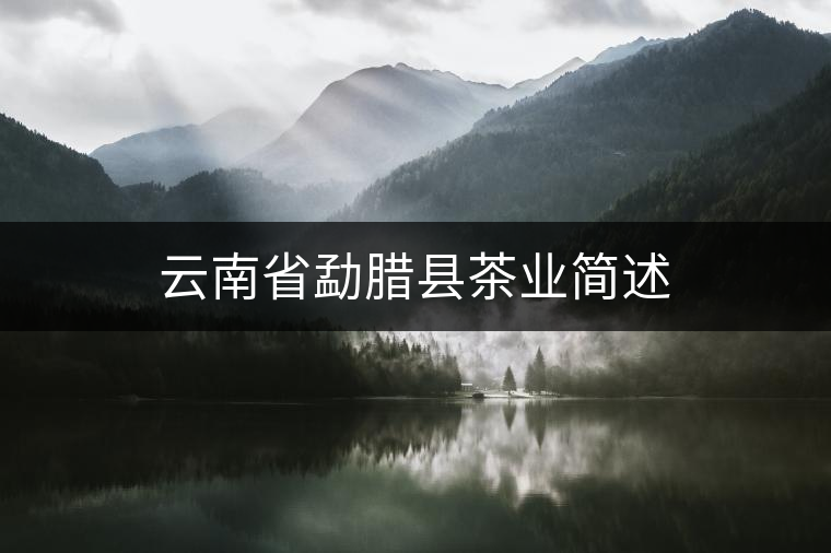 云南省勐臘縣茶業(yè)簡述