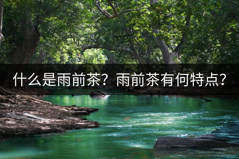 什么是雨前茶？雨前茶有何特點？
