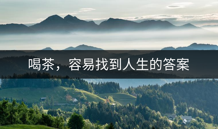 喝茶，容易找到人生的答案