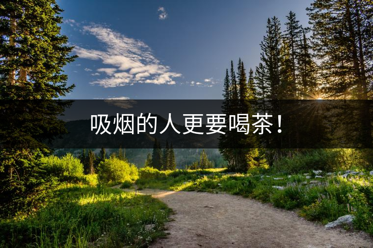 吸煙的人更要喝茶！