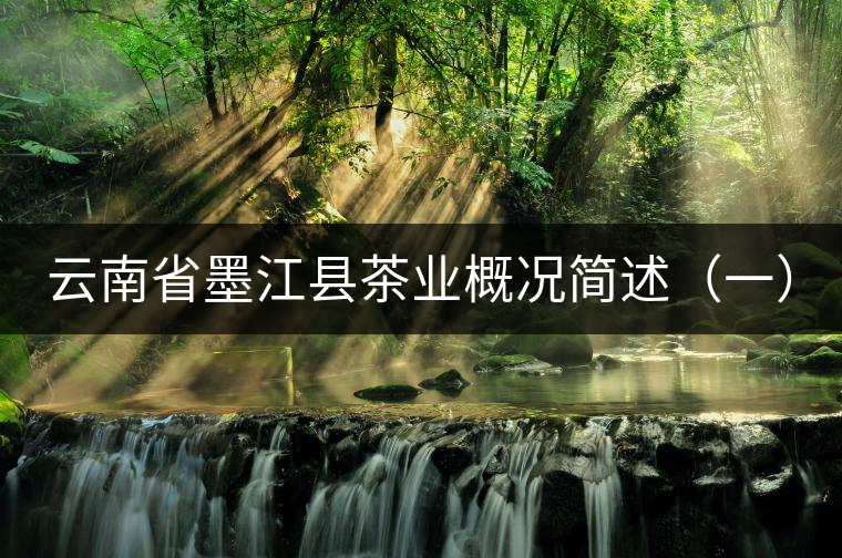 云南省墨江縣茶業(yè)概況簡(jiǎn)述（一）