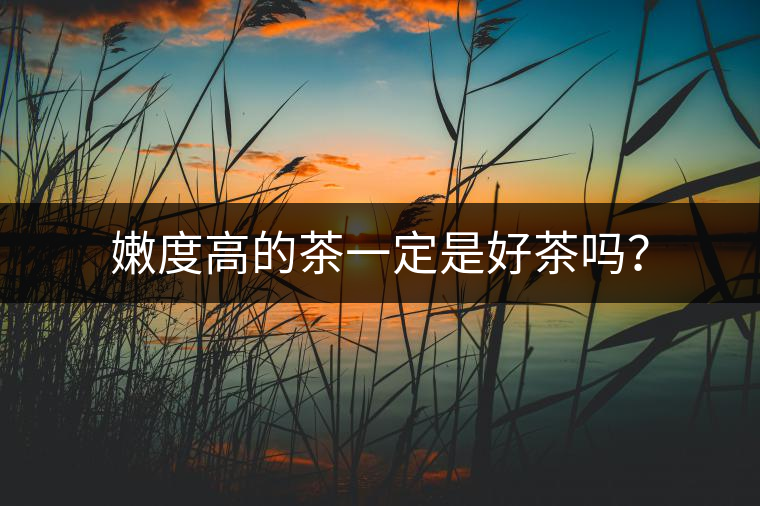 嫩度高的茶一定是好茶嗎？