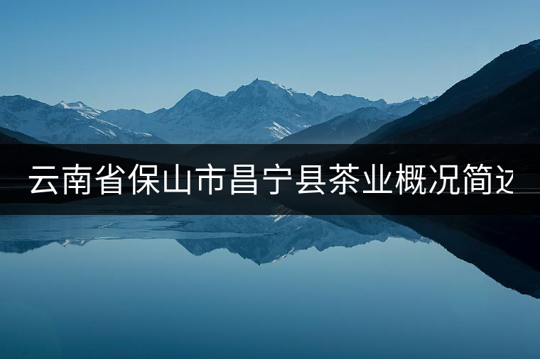 云南省保山市昌寧縣茶業(yè)概況簡(jiǎn)述（下篇）