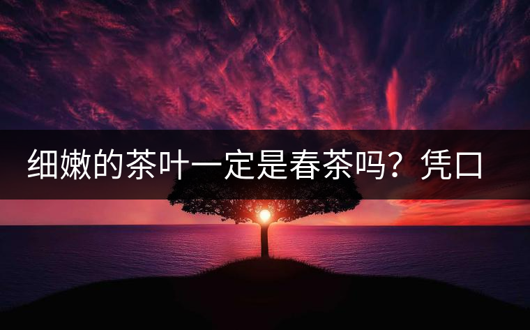 細(xì)嫩的茶葉一定是春茶嗎？憑口感鑒別春茶的方法
