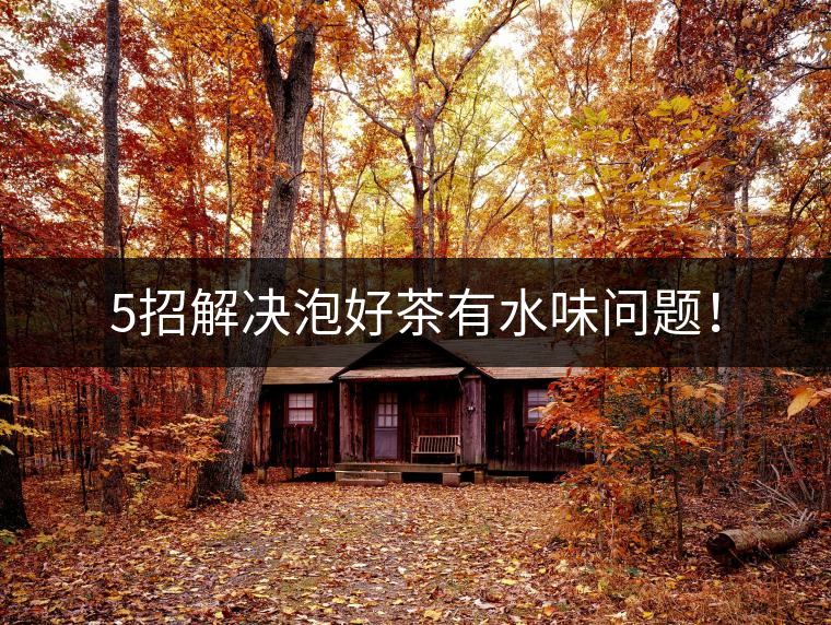 5招解決泡好茶有水味問題！