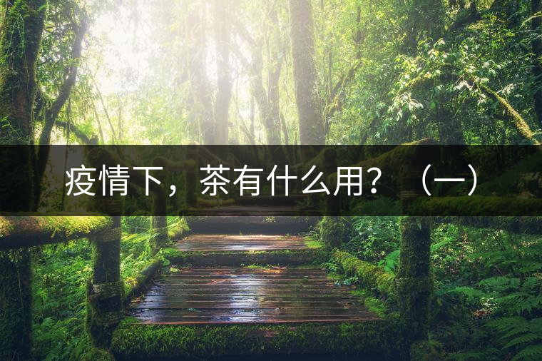 疫情下，茶有什么用？（一）