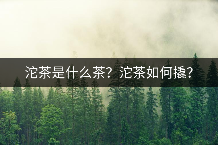 沱茶是什么茶？沱茶如何撬？