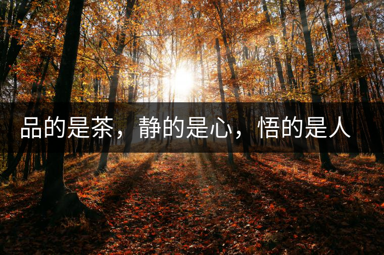 品的是茶，靜的是心，悟的是人生，滌的是靈魂