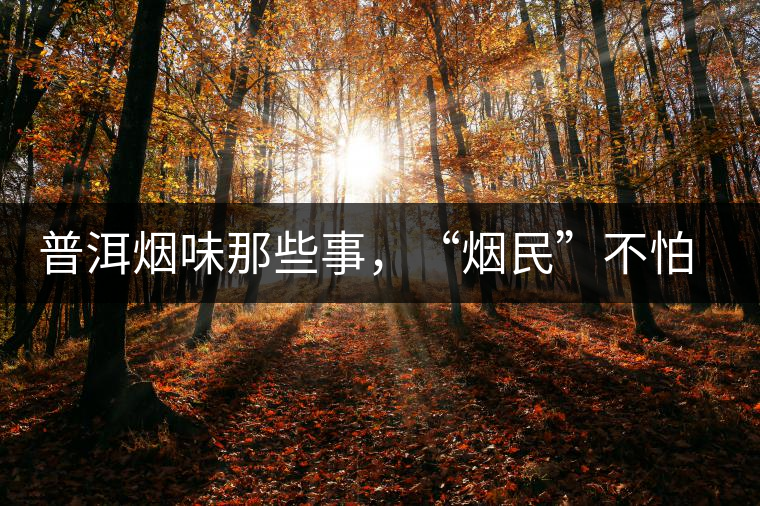 普洱煙味那些事，“煙民”不怕當(dāng)