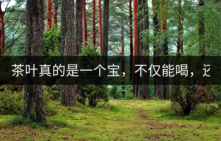 茶葉真的是一個寶，不僅能喝，還能用！