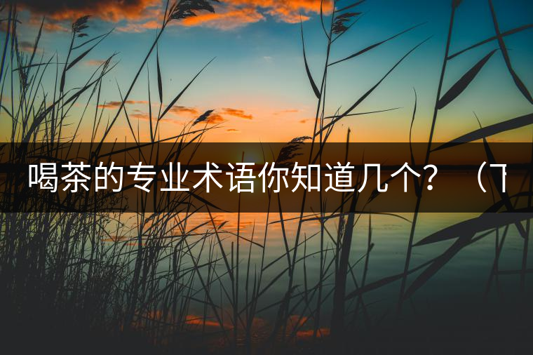 喝茶的專業(yè)術語你知道幾個？（下篇）