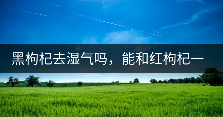 黑枸杞去濕氣嗎，能和紅枸杞一起泡嗎？
