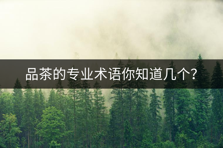 品茶的專(zhuān)業(yè)術(shù)語(yǔ)你知道幾個(gè)？