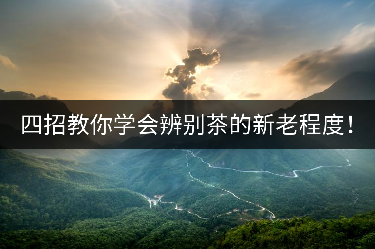 四招教你學(xué)會辨別茶的新老程度！