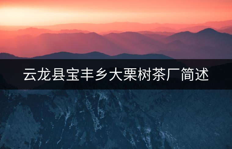 云龍縣寶豐鄉(xiāng)大栗樹茶廠簡(jiǎn)述 云龍縣寶豐鄉(xiāng)大栗樹茶廠簡(jiǎn)述