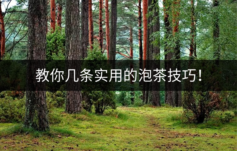 教你幾條實(shí)用的泡茶技巧！