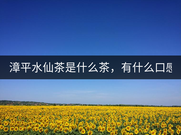 漳平水仙茶是什么茶，有什么口感特點！