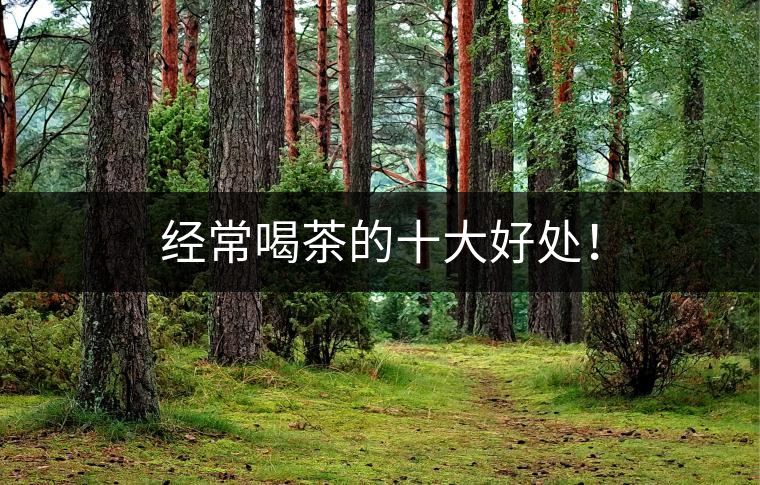 經常喝茶的十大好處！