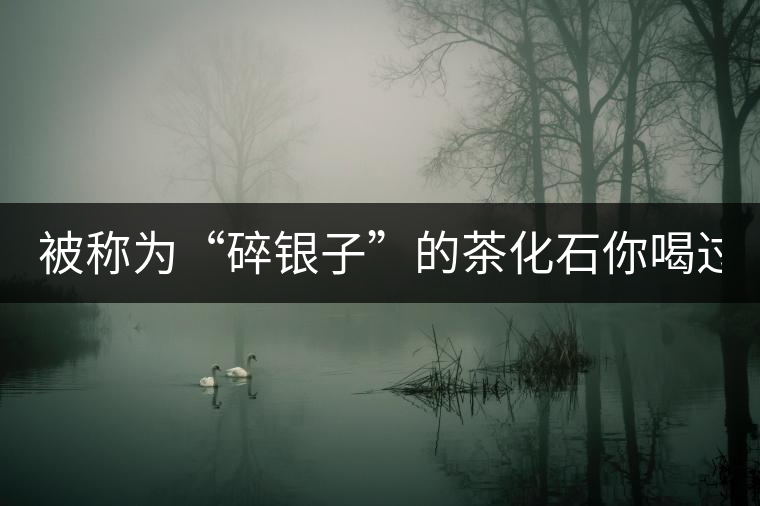 被稱為“碎銀子”的茶化石你喝過(guò)嗎？
