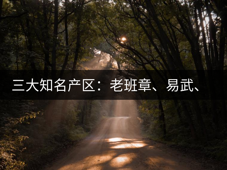三大知名產(chǎn)區(qū)：老班章、易武、景邁三大茶系都有哪些特點(diǎn)！