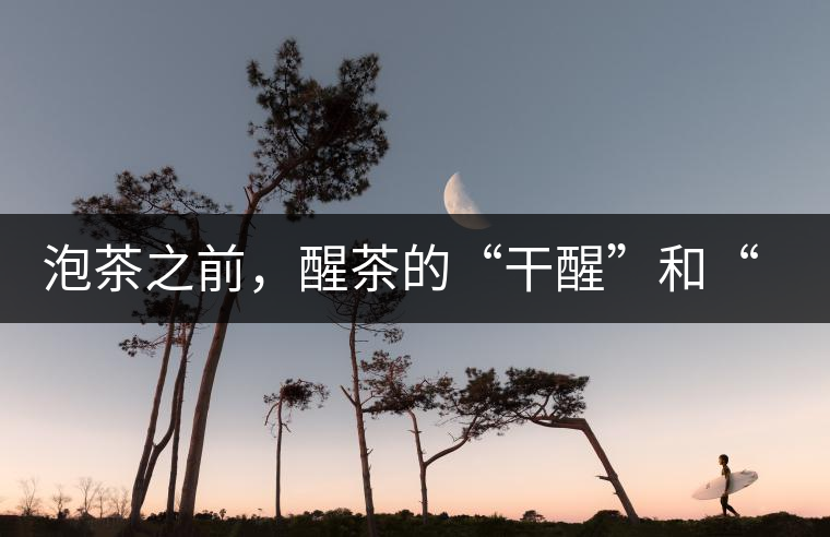 泡茶之前，醒茶的“干醒”和“濕醒”之區(qū)別