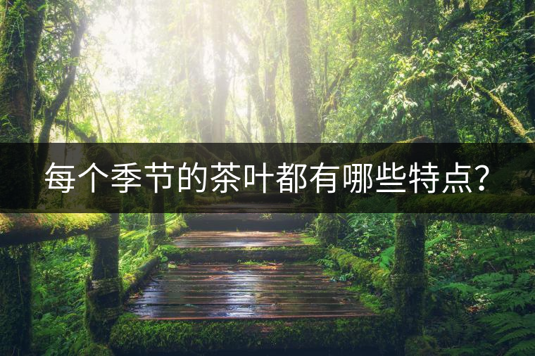 每個(gè)季節(jié)的茶葉都有哪些特點(diǎn)？