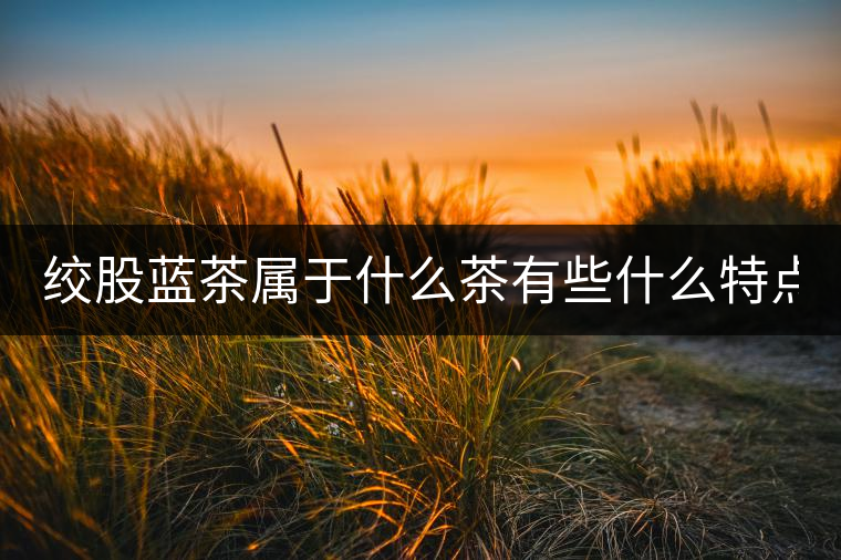 絞股藍(lán)茶屬于什么茶有些什么特點(diǎn)？