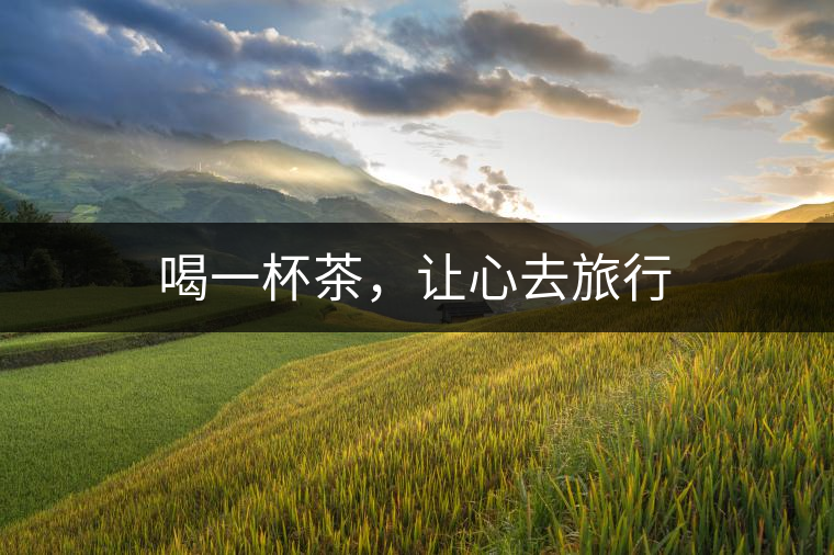 喝一杯茶，讓心去旅行