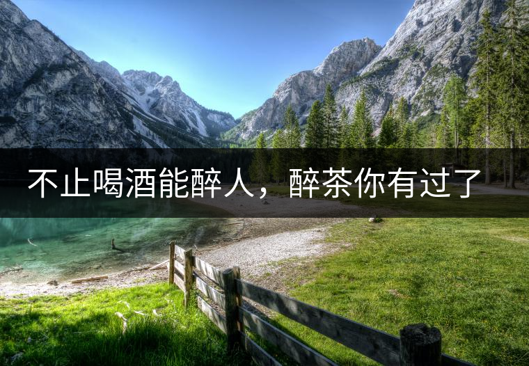 不止喝酒能醉人，醉茶你有過了解嗎？