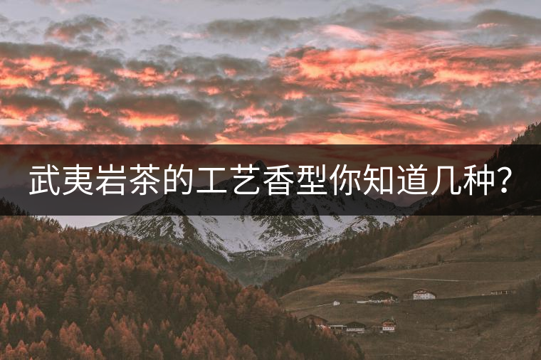 武夷巖茶的工藝香型你知道幾種？