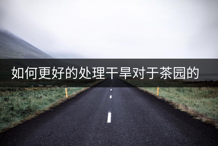 如何更好的處理干旱對于茶園的影響？