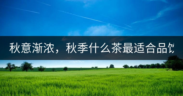 秋意漸濃，秋季什么茶最適合品飲？