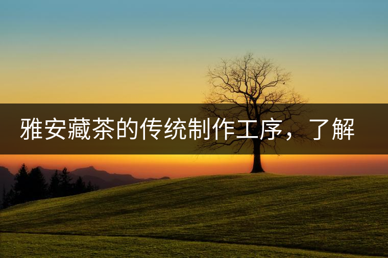 雅安藏茶的傳統(tǒng)制作工序，了解了傳統(tǒng)技藝才能更好的了解茶品！