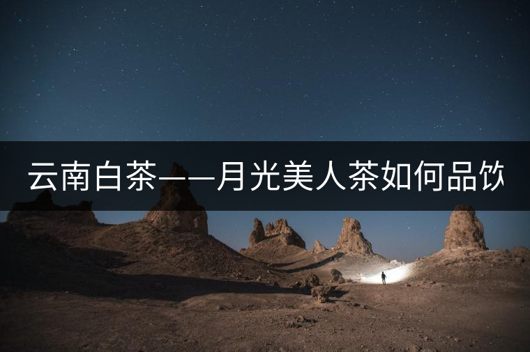 云南白茶——月光美人茶如何品飲？