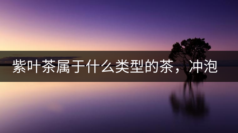 紫葉茶屬于什么類型的茶，沖泡需要注意什么？