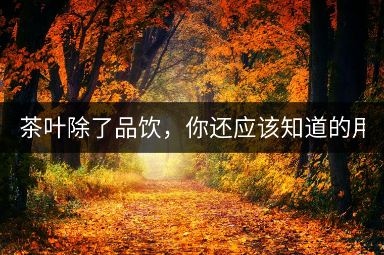 茶葉除了品飲，你還應(yīng)該知道的用途！