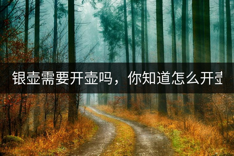 銀壺需要開壺嗎，你知道怎么開壺？