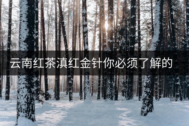 云南紅茶滇紅金針你必須了解的知識點