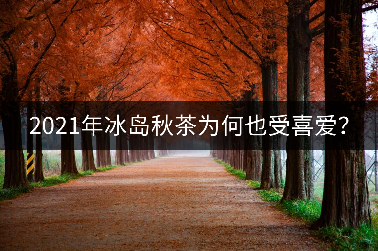 2021年冰島秋茶為何也受喜愛(ài)？