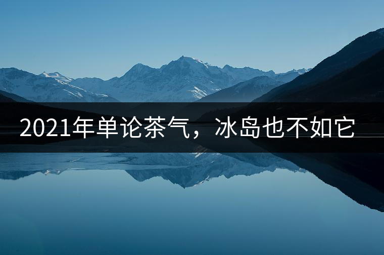 2021年單論茶氣，冰島也不如它-磨烈古樹秋