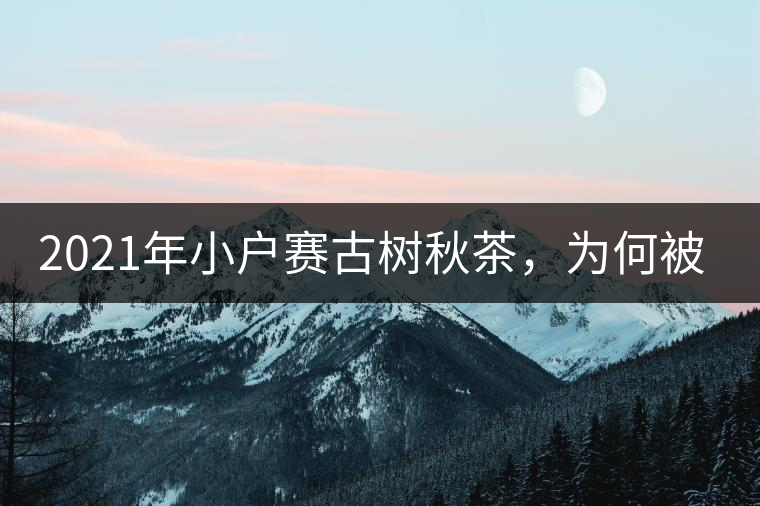 2021年小戶賽古樹秋茶，為何被稱為賽冰島？