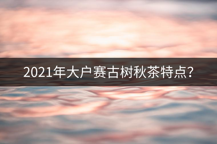 2021年大戶賽古樹秋茶特點？