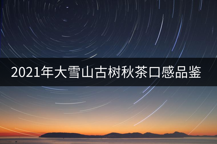 2021年大雪山古樹秋茶口感品鑒？