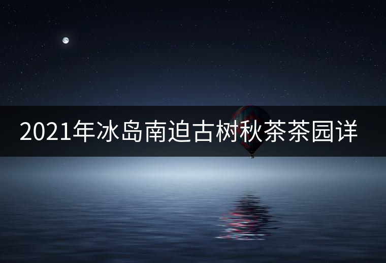 2021年冰島南迫古樹(shù)秋茶茶園詳解！