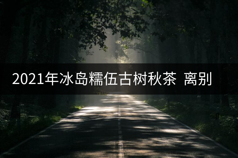 2021年冰島糯伍古樹(shù)秋茶  離別方知班章苦,相聚才曉糯伍甜！